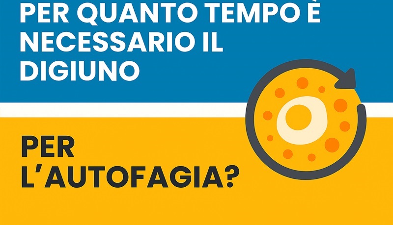 digiuno e autofagia