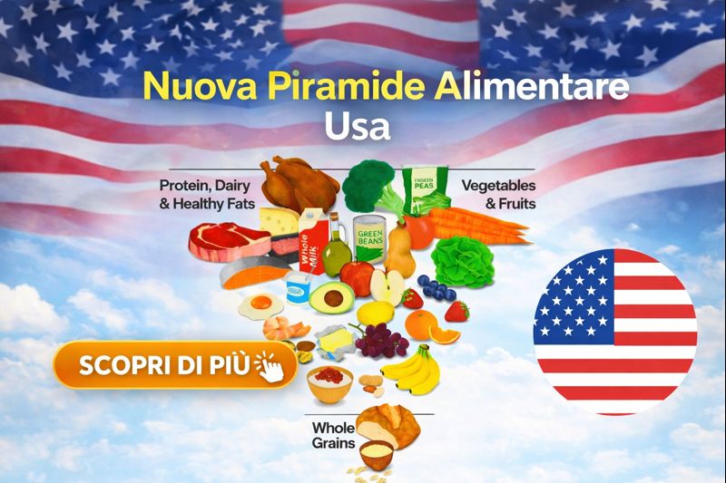 nuova piramide alimentare capovolta Usa La piramide alimentare capovolta